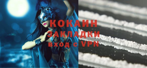 стафф Алзамай