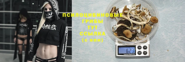 хмурый Алексеевка