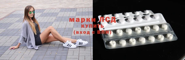 ПСИЛОЦИБИНОВЫЕ ГРИБЫ Абаза