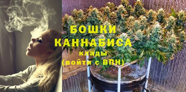 амф Пестово
