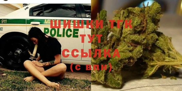 ПСИЛОЦИБИНОВЫЕ ГРИБЫ Абаза