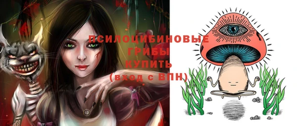 первитин Алексин