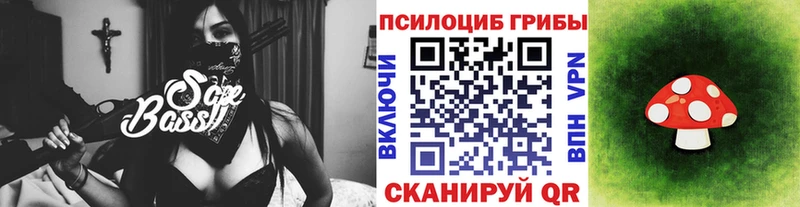 Галлюциногенные грибы GOLDEN TEACHER  Кедровый 